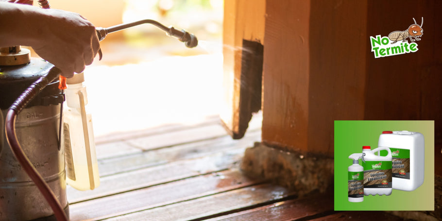 Le termiti possono causare gravi danni strutturali a una casa?
