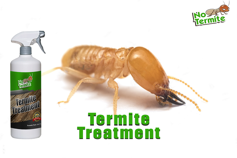 L’importanza delle strategie anti-termiti