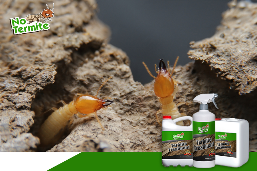 Quali sono gli elementi chiave di un’efficace difesa dalle termiti?