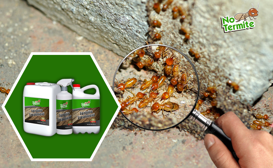 Il repellente per termiti è efficace?